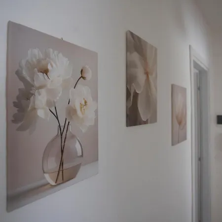 Cama - Qui Vivi La Vera Storia Normanna *